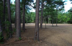 3 Trojan Rd, Cross, SC 29436