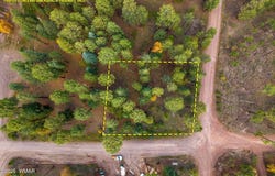 COUNTY ROAD 2196, Alpine, AZ 85920