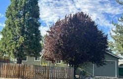 306 Bruce Street, Yreka, CA 96097