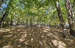 R-5 13-A Norton Hill Road, Strong, ME 04983