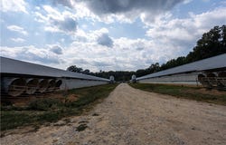 51 White Drive, Other AR, AR 72521
