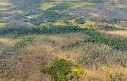 Baxter Norris Rd, Crab Orchard, TN 37723