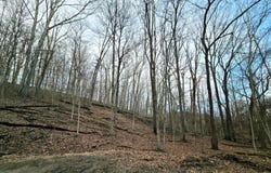 1767 Mohican Court, Hide A Way Hills, OH 43107