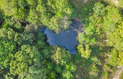 Bobcat Road, Rogersville, MO 65742