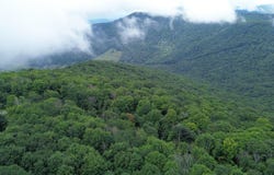 6181 Cass Road, Slatyfork, WV 26291