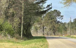 15 AC Snider Rd, Frisco City, AL 36445