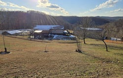 4790 Widen Dille Road, Birch River, WV 26610-8322