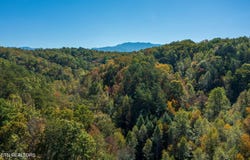 1876 Upper Middle Creek Rd, Sevierville, TN 37876