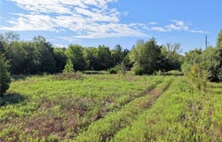 Mathis Meadows Lane, Madisonville, TX 77864