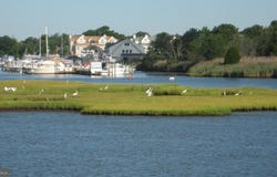 1107 LEILANI DR, FORKED RIVER, NJ 08731