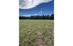18 Blackbird Ln, Petal, MS 39465