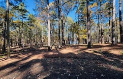 174 Whispering Pines Rd, Milam, TX 75959