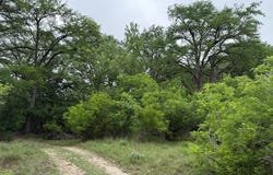 261 River Dr, Rio Frio, TX 78879
