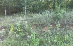 TRACTS 7-9 CARROLL HOLLOW Rd lot: 7,8,9, Waynesboro, TN 38485