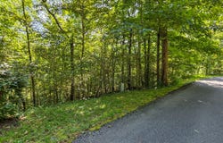 Dogwood Trail, White Sulphur Springs, WV 24986
