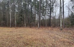 165 Ash Hill Drive, Eutawville, SC 29048