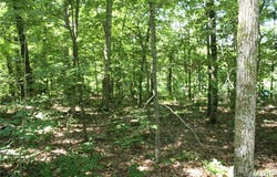 Lakview Drive, Wappapello, MO 63966