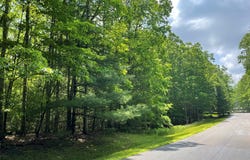 Saddlebrooke Ln, DANIELS, WV 25832
