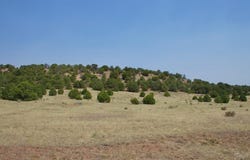 Commanche Rd, Walsenburg, CO 81089