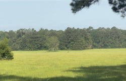 64559 Highway 51, Roseland, LA 70456