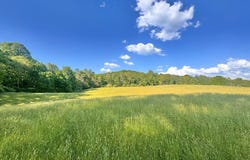 178 GRANDE RD, FAIRDALE, WV 25839
