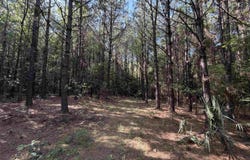 52 Hwy 160, Hermitage, AR 71647