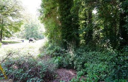 656 Lakeridge Drive SE, Conyers, GA 30094