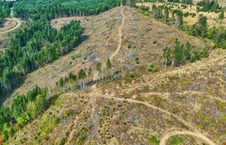NW John Lee Rd, Buxton, OR 97109