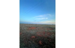 11373 N 1870 Road, Sayre, OK 73662