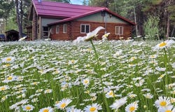 10534 Hwy 55, Cascade, ID 83611