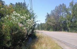 14425 Holiday Road, Redding, CA 96003