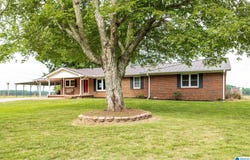 687 COUNTY ROAD 517, ANDERSON, AL 35610