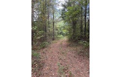 48 Lickskillet Road, San Augustine, TX 75972