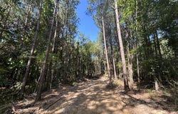 Chisholm Drive, Summit, MS 39666