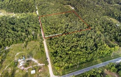 NE 349th Ave, Old Town, FL 32680