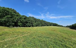 5383 Cowan Ridge Road, Powell, MO 65730