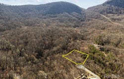 Stafford Lane S, Mill Spring, NC 28756