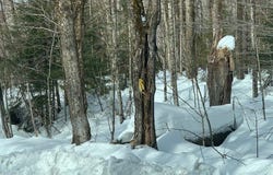 87 North Rd, Monroe, MA 01350