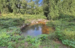 850 FERNSIDE Drive, Toccoa, GA 30577