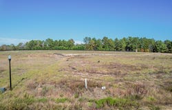 810 McCleary Drive, OXFORD, MS 38655
