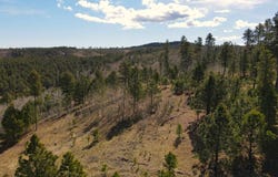 Noble Grand Court, Deadwood, SD 57732