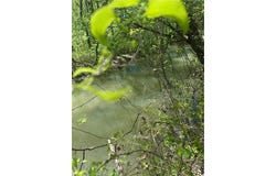 N 411 Highway, Eton, GA 30705