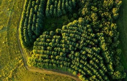 Cass Hollow Rd, Montfort, WI 53569