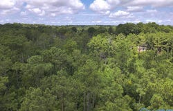 Taylor Circle lot: C, Somerville, AL 35670