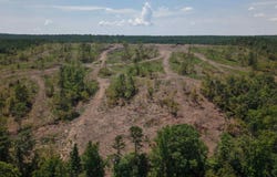 40 Acres W376, Langley, AR 71952