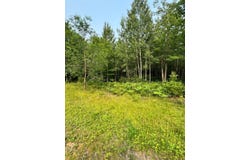OAK BROOK RD lot: 9, Eagle River, WI 54521