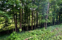 Ellis Hollow Road, Ithaca, NY 14850