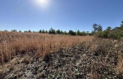 St Rt 399 lot: 2, Dunlap, TN 37327