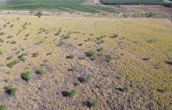 3196 FM 2111, Ballinger, TX 76821