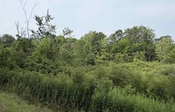 Split Rock Road, Hammond, NY 13646